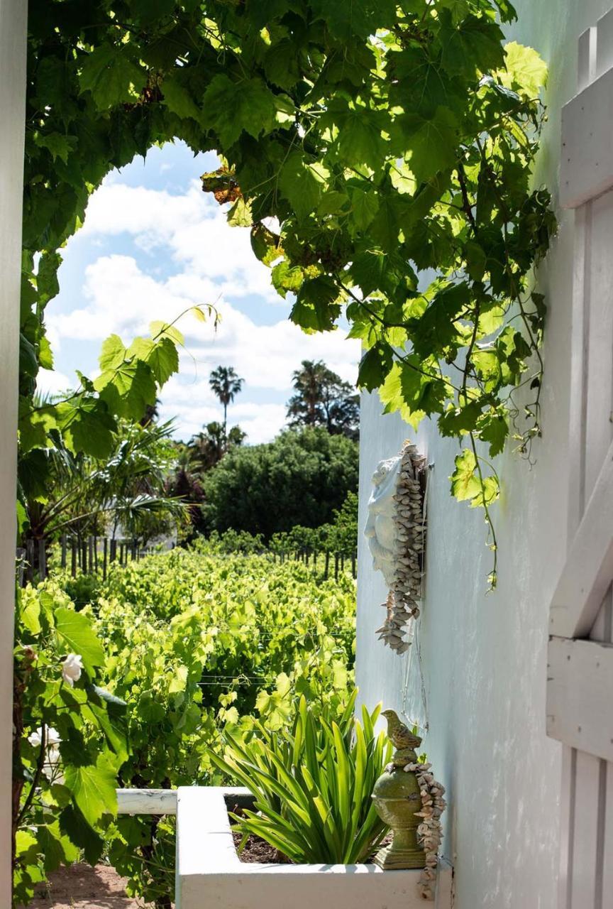 Hotel The Vineyard Country House à Montagu Extérieur photo