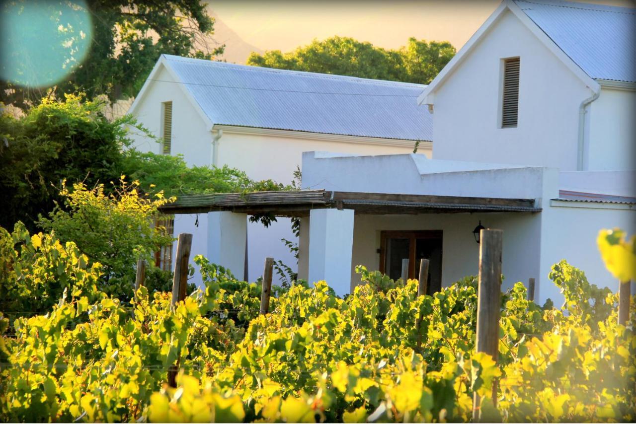 Hotel The Vineyard Country House à Montagu Extérieur photo