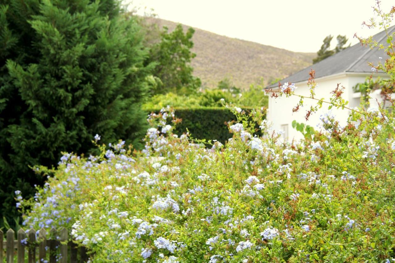 Hotel The Vineyard Country House à Montagu Extérieur photo